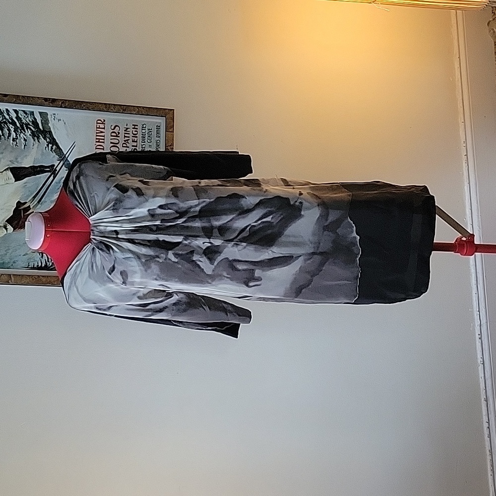 Silk Shift Dress with Collar Details